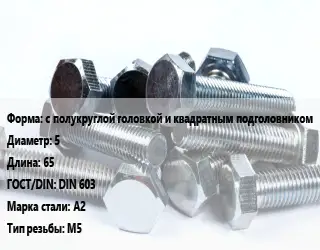 Болт с полукруглой головкой и квадратным подголовником 5х65 DIN 603 Сталь: А2 М5